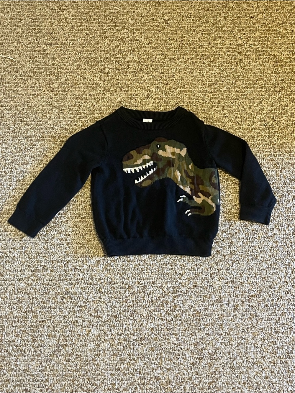 Baby gap dinosaur sweater 18-24M